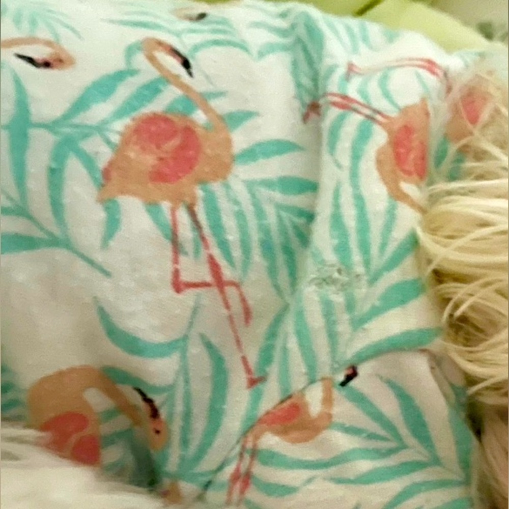 Please share ISO Flamingo Print Dog pajamas Frisco In Search Of help me find plz